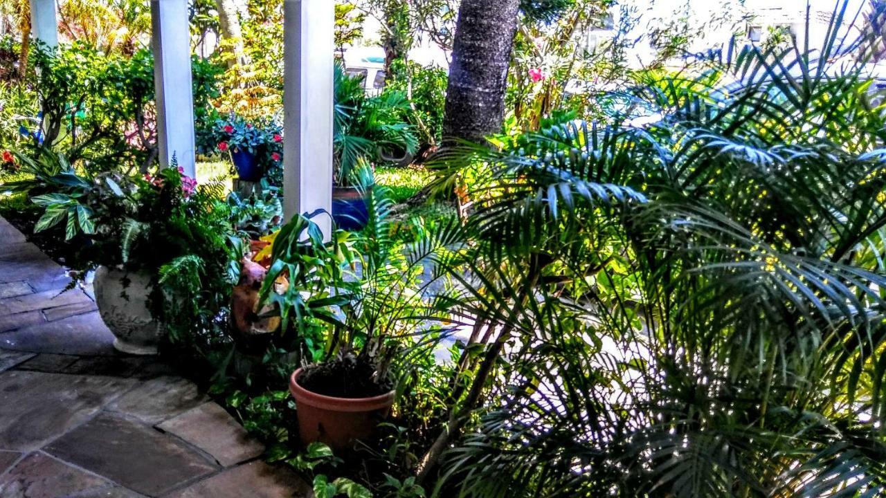 Boca Ciega Bay Apartment St. Pete Beach Zewnętrze zdjęcie